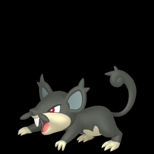 꼬렛 (Alola) 도감 이미지