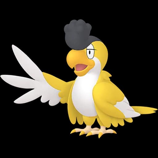 시비꼬 (Yellow) 도감 이미지