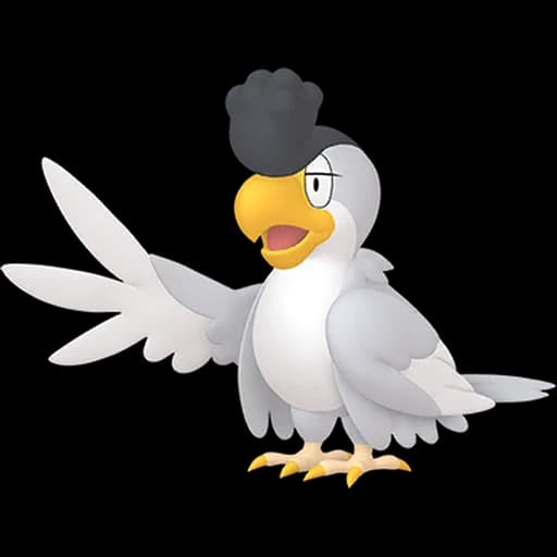 시비꼬 (White) 도감 이미지