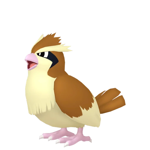 Pidgey Pokédex artwork