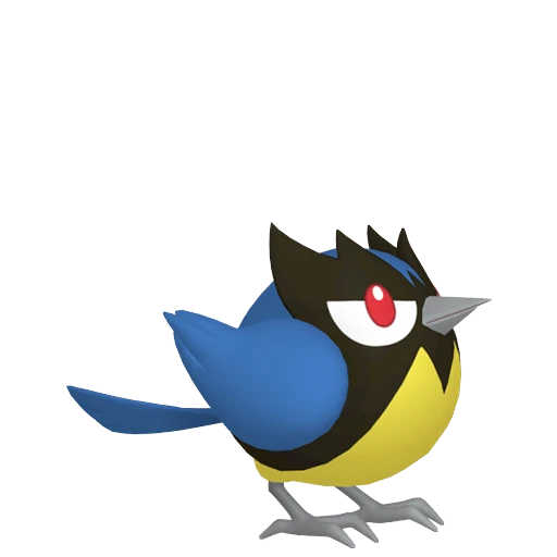 Rookidee Pokédex artwork